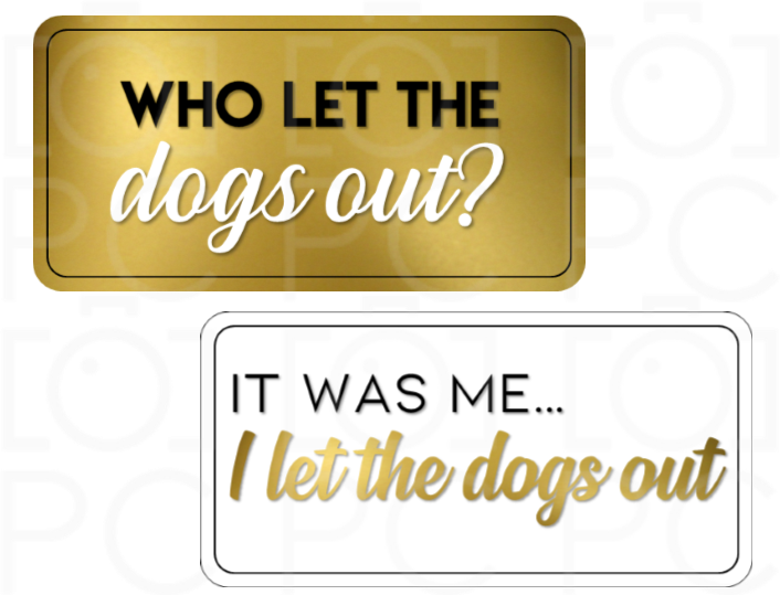 Display | Where Let the Dogs Out? / It Was Me. I Let the Dogs Out.