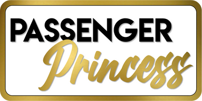 B-Stock IYKYK / Passenger Princess Prop