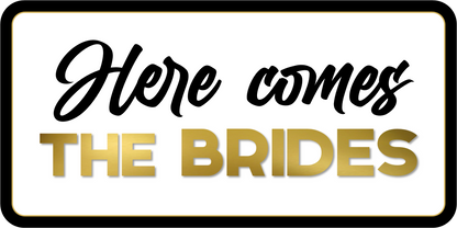 B-Stock Here comes the Brides / Here comes the Grooms Prop