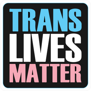 B-Stock - Trans Life Matters / Closets are for Clothes!